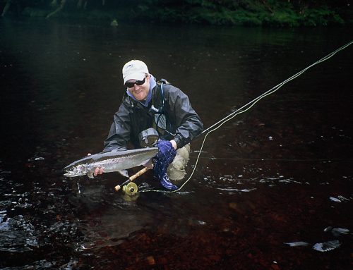 The Lodge at Whale Pass