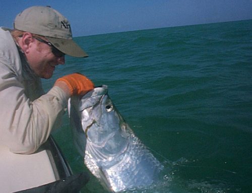 Florida Keys Guiding