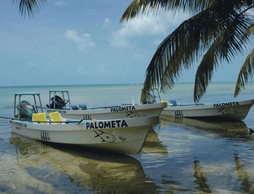 Ascension Bay Bonefish Club